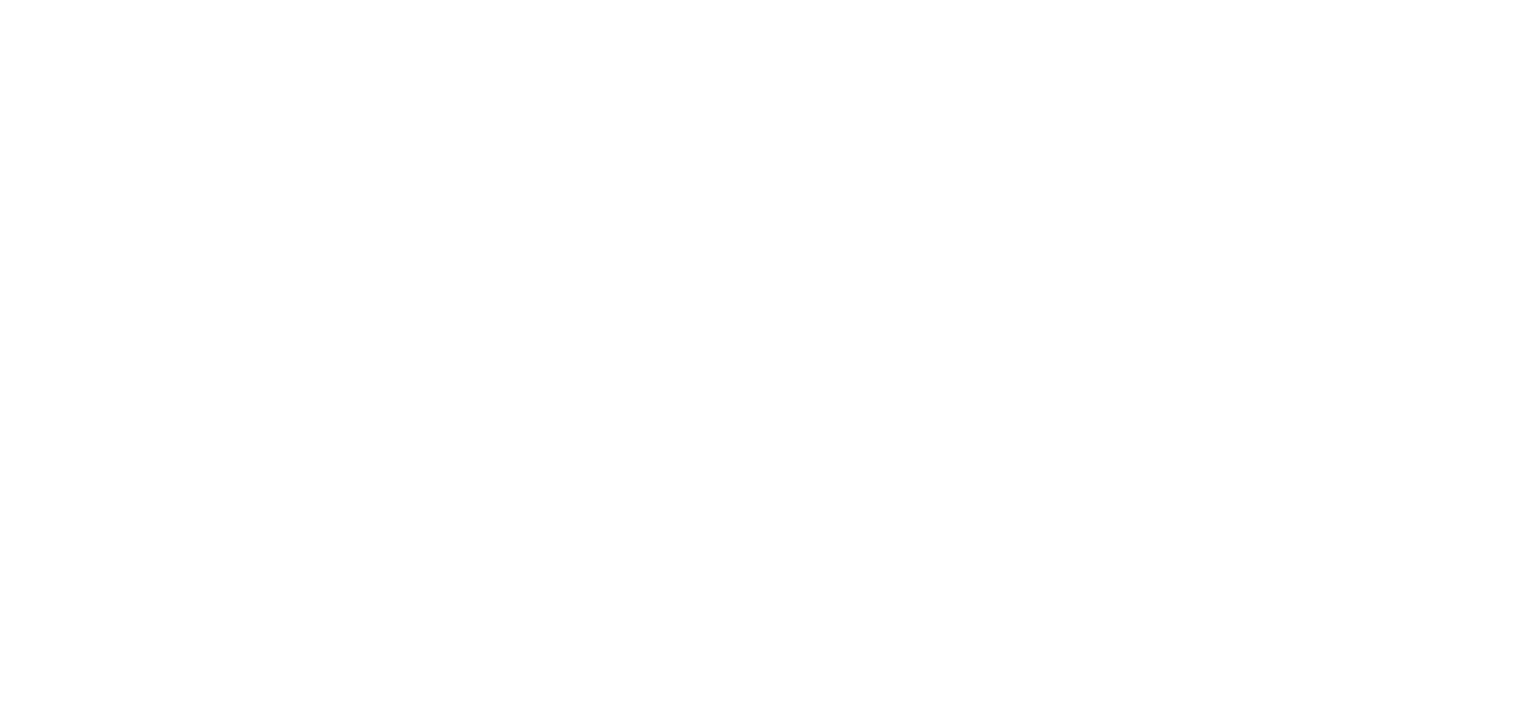 Stormshield logo